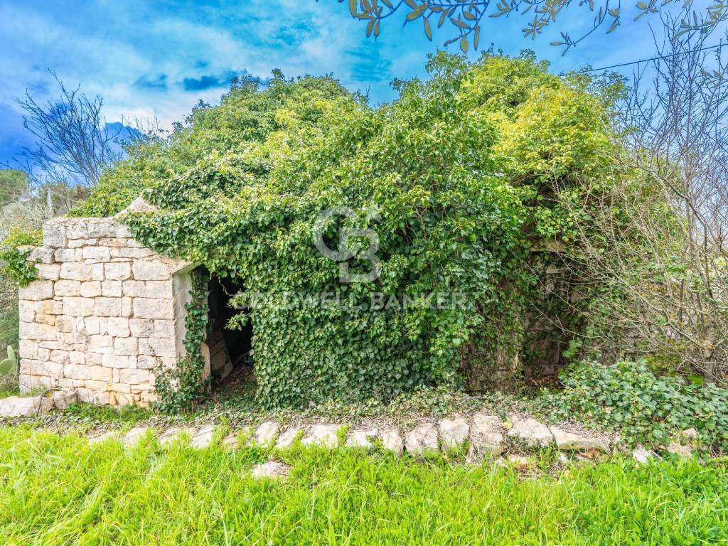 Rustico / casale a Ostuni in Contrada Santoro - Foto 3