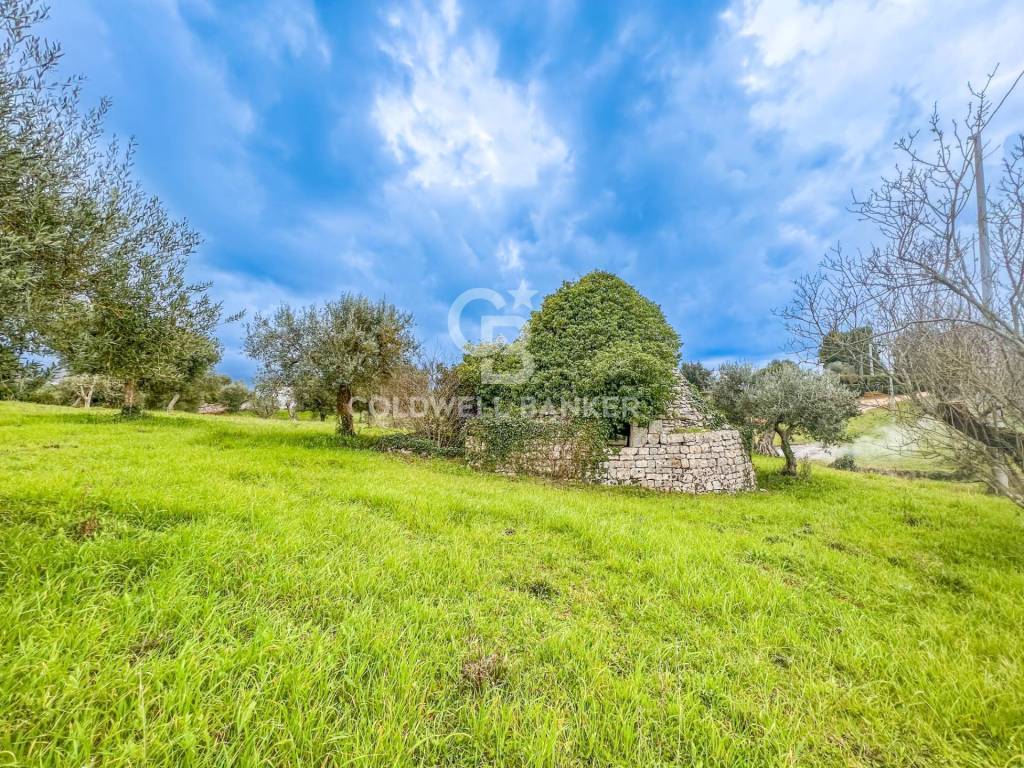 Rustico / casale a Ostuni in Contrada Santoro - Foto 4