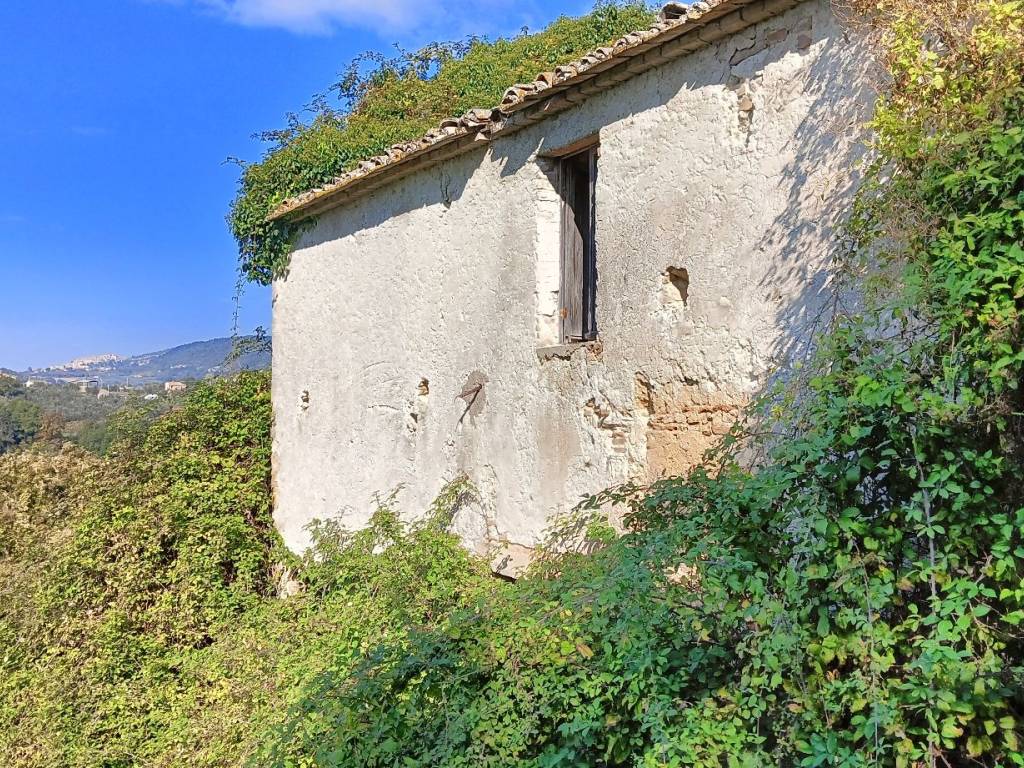 Rustico / casale a Montebuono in Vocabolo Spezzano - Foto 4