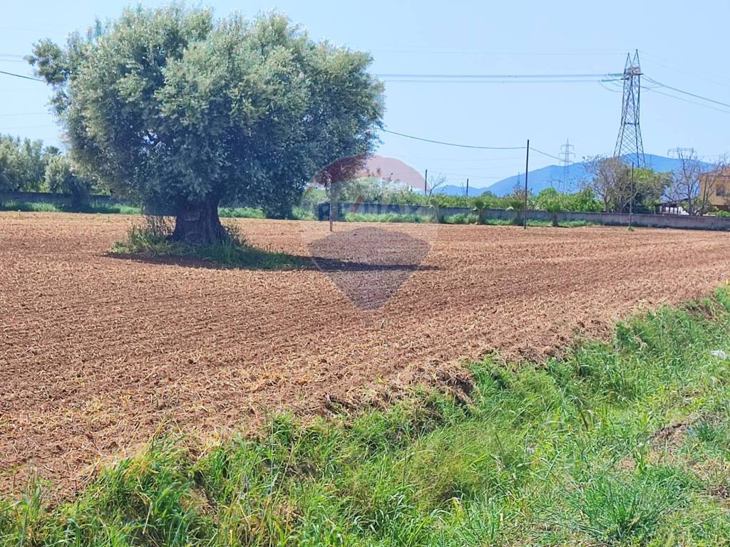 Terreno a Sparanise in SS7, calvi risorta, CE - Foto 2
