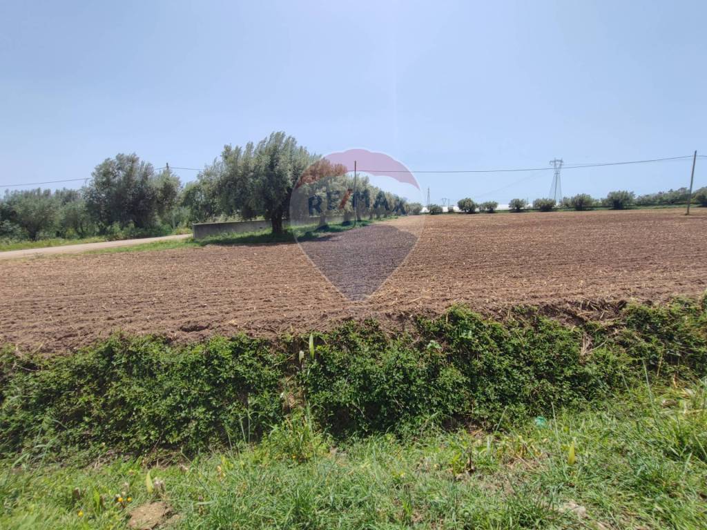 Terreno a Sparanise in SS7, calvi risorta, CE - Foto 4