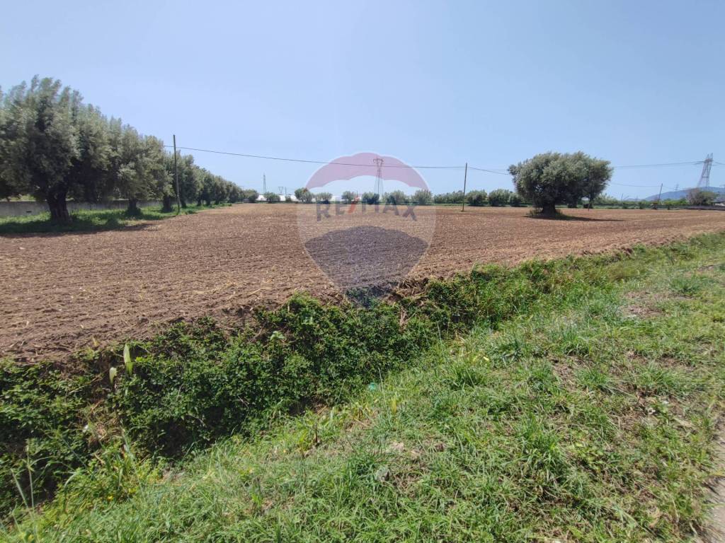 Terreno a Sparanise in SS7, calvi risorta, CE - Foto 5