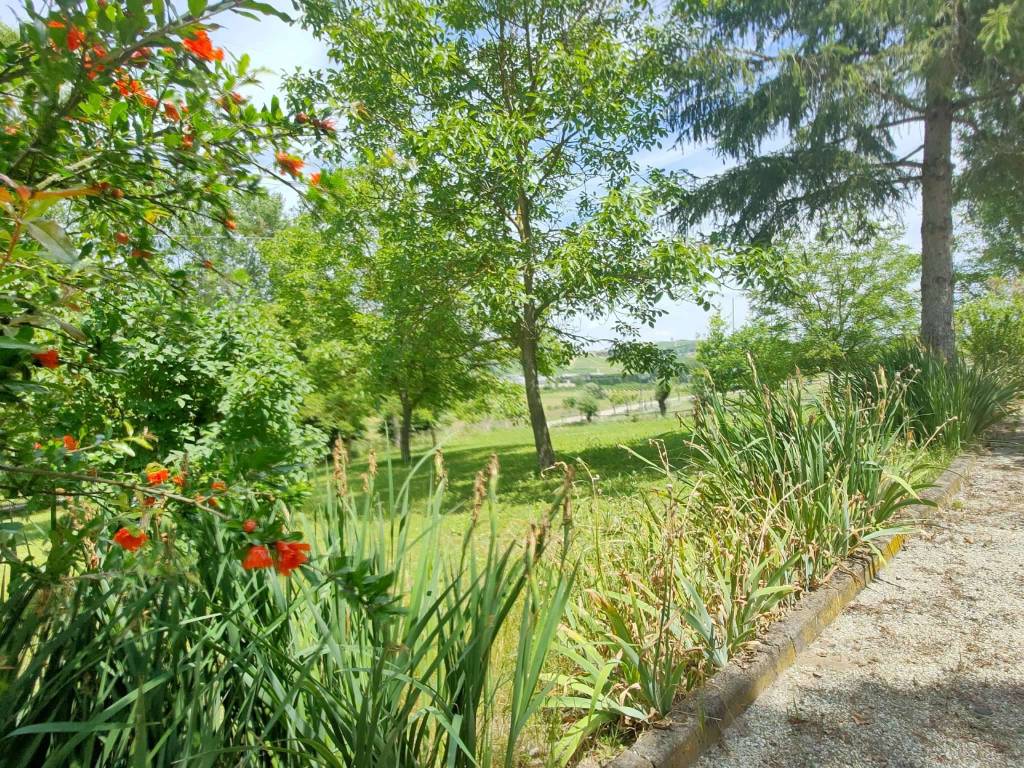 Villa a Moasca - Foto 4