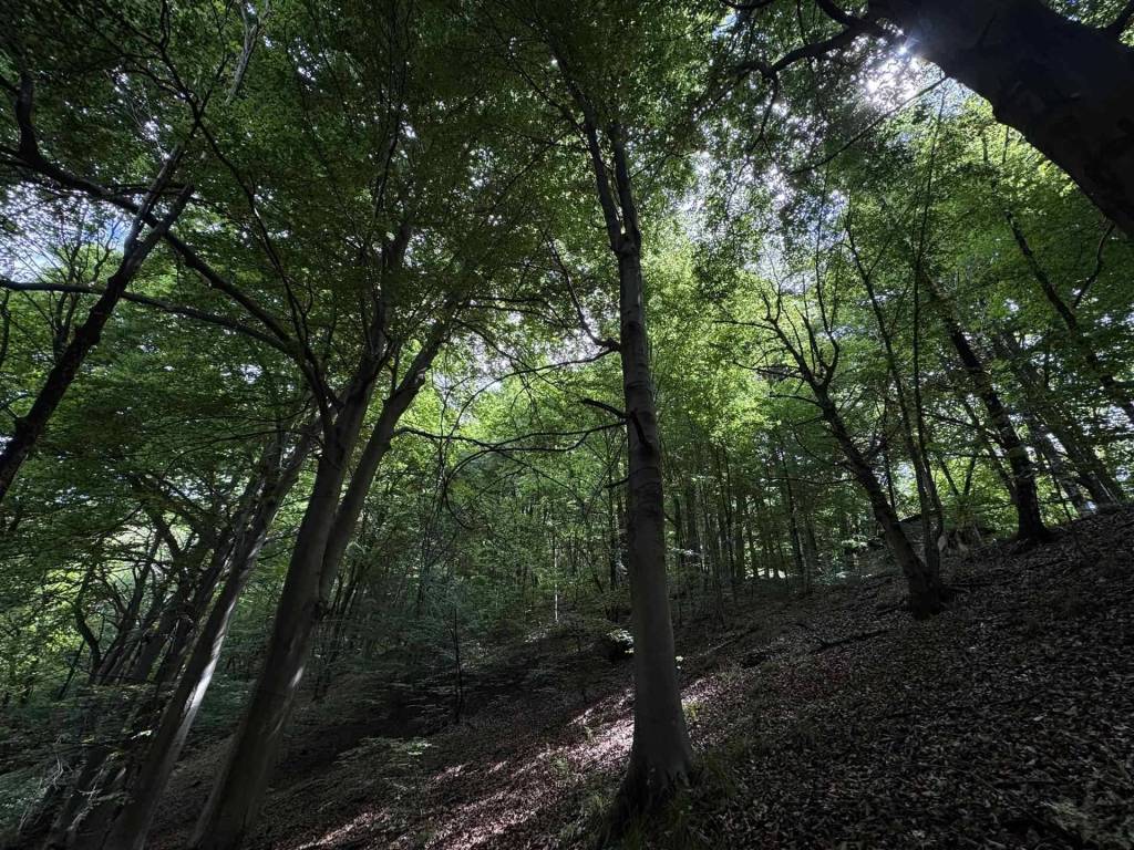 Terreno a Andorno micca - Foto 2