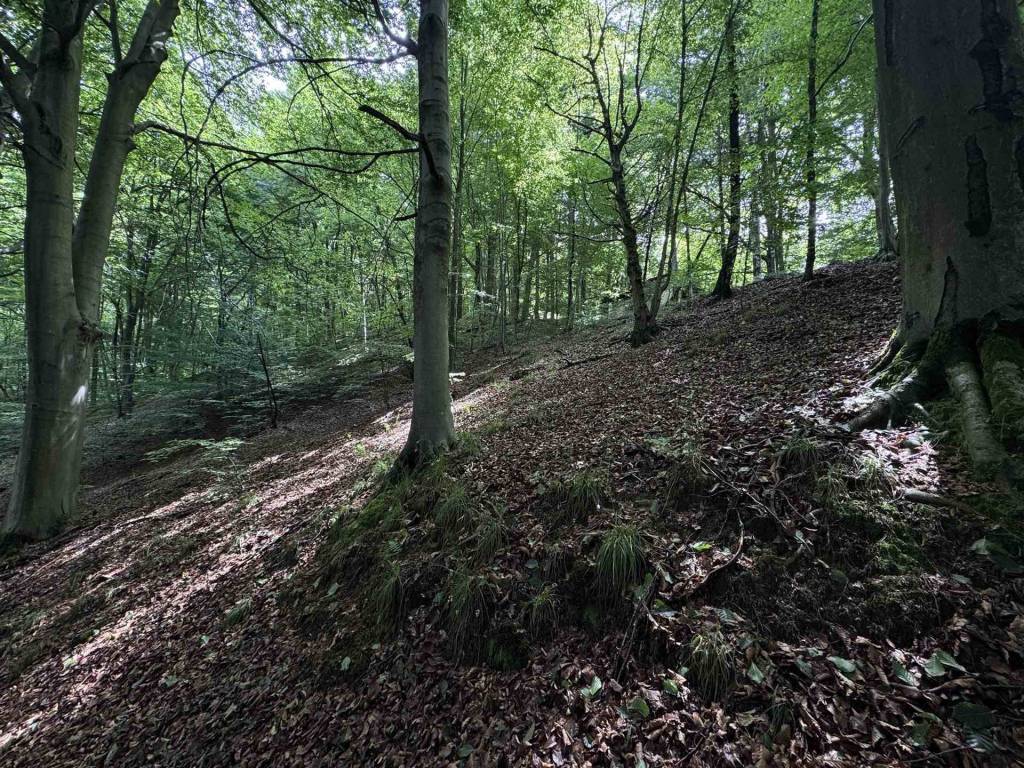 Terreno a Andorno micca - Foto 3