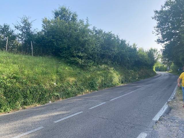 Terreno a Vico nel lazio in Contrada Pitocco - Foto 5