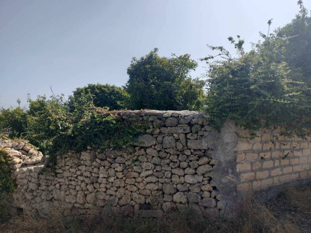 Terreno a Carlentini in C/da Cirico' - Foto 2