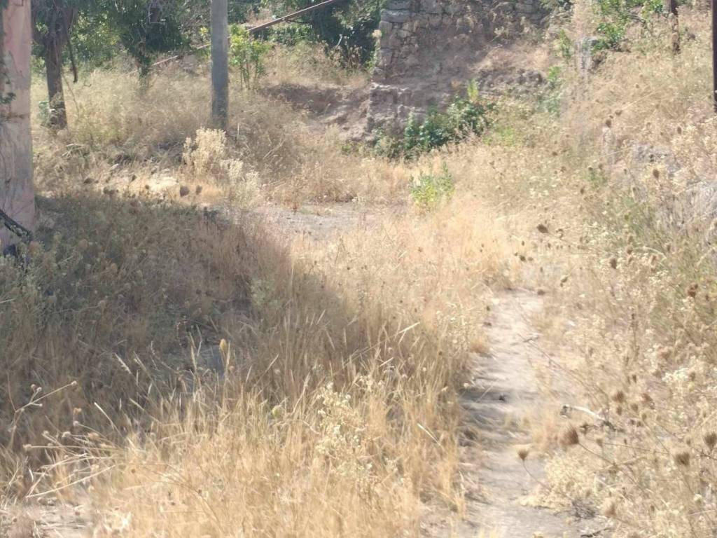 Terreno a Carlentini in C/da Cirico' - Foto 3