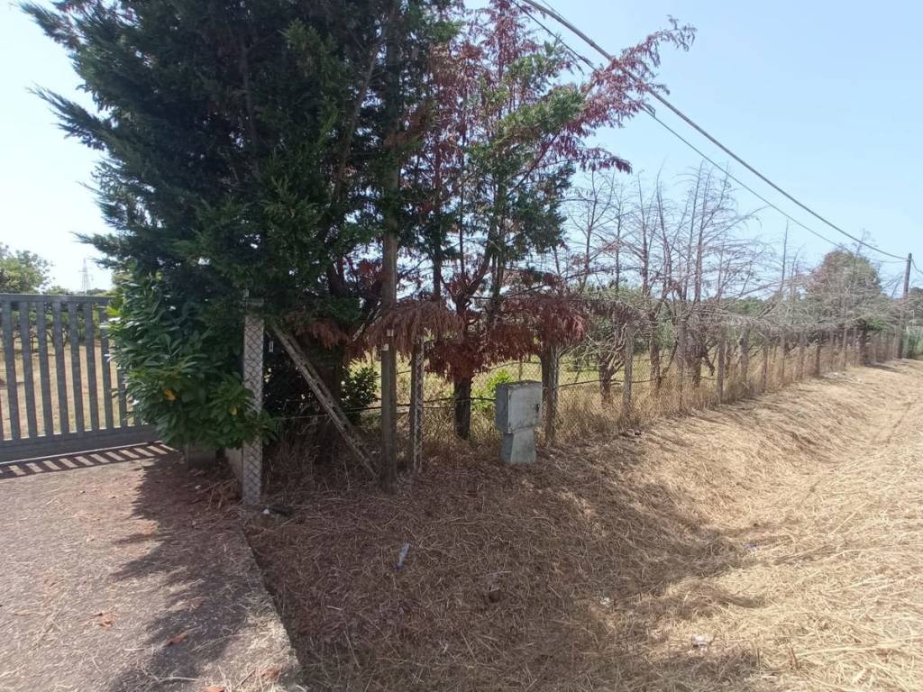Terreno a Aprilia in VIA DELLA COGNA, 15 - Foto 4
