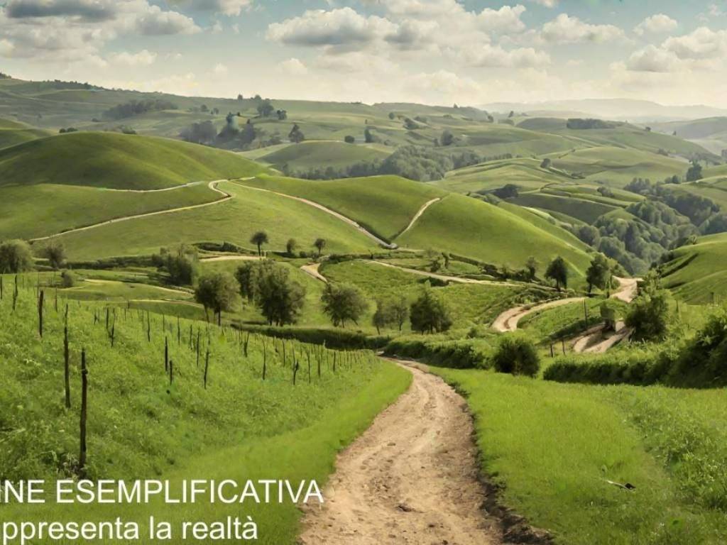 Terreno a Castelnuovo magra in Via Montefrancio, 52 - Foto 4