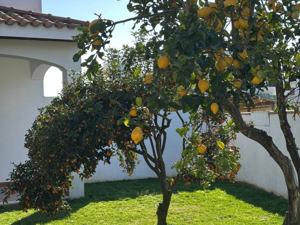 Villa a San felice circeo in Via Giuseppe Verdi - Foto 4