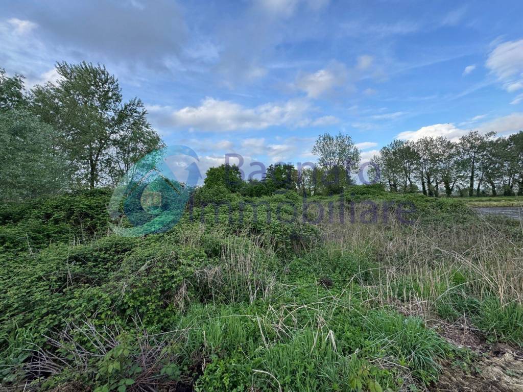 Terreno a Granozzo con monticello in Via Marcella Balconi - Foto 5