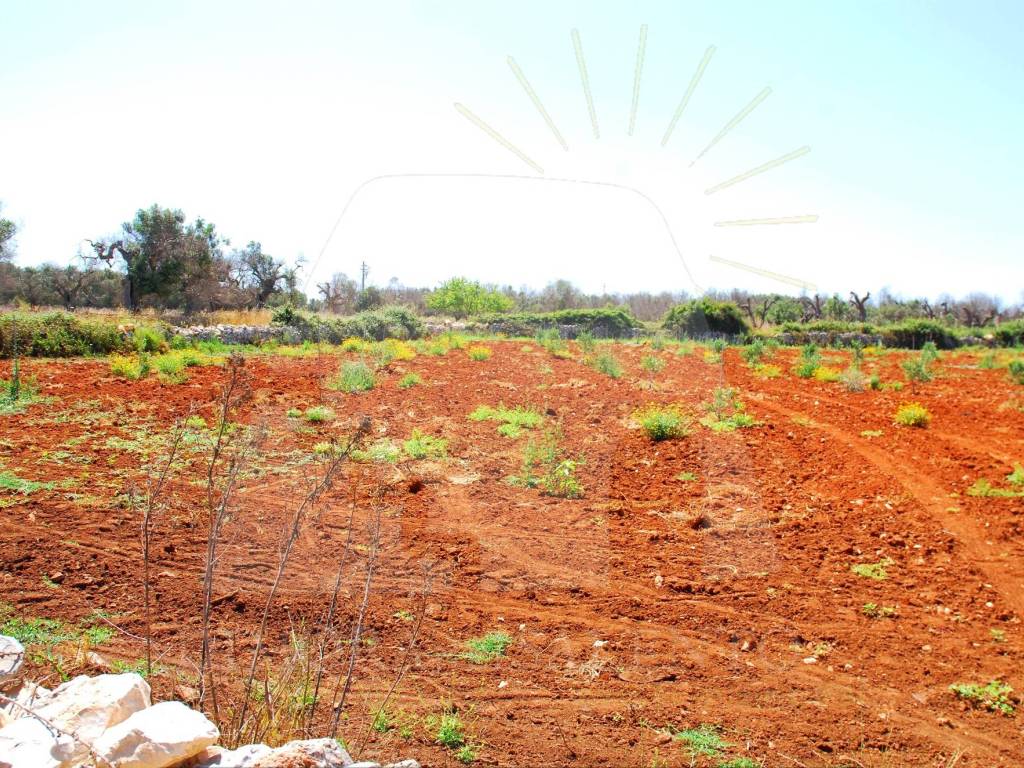 Terreno a Corsano in Strada Bolano - Foto 2