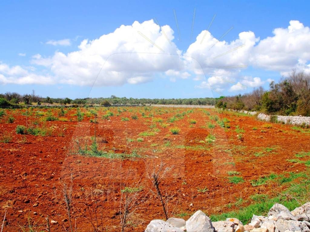 Terreno a Corsano in Strada Bolano - Foto 3