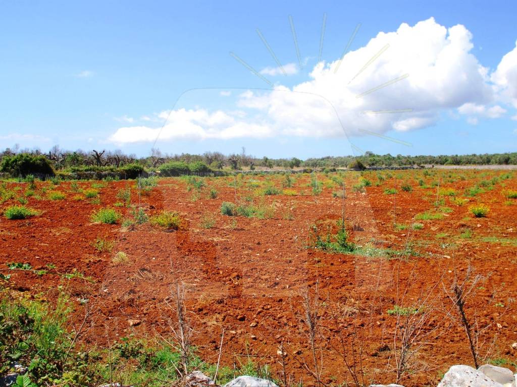 Terreno a Corsano in Strada Bolano - Foto 4