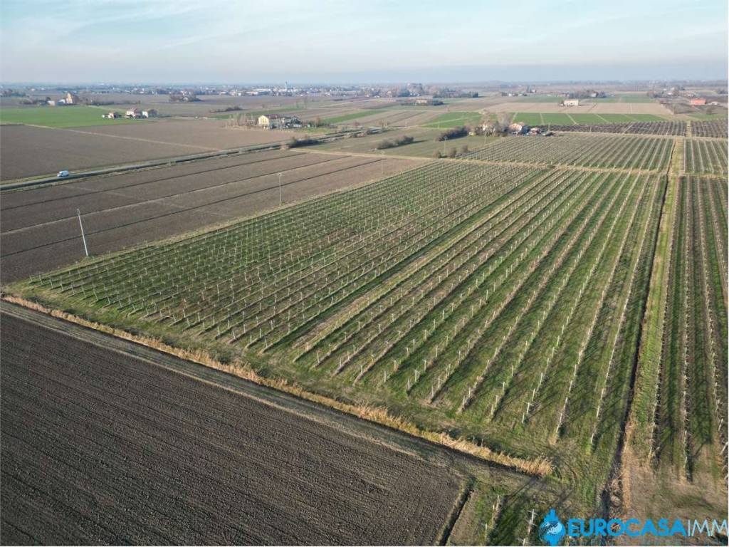 Terreno a Carpi in via Dossi, 4 - Foto 2