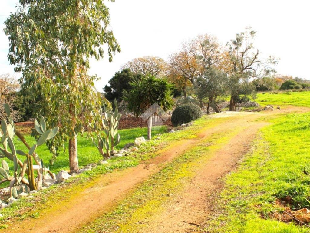 Rustico / casale a Carovigno in Contrada Colacurto - Foto 3