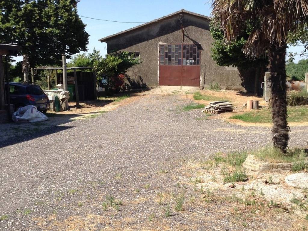 Terreno a Gavello in GAVELLO Via Canal Bianco Inferiore, 0 - Foto 2