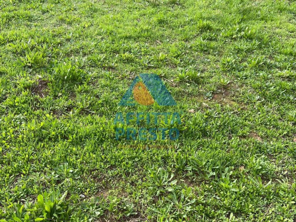 Casa indipendente a Lamporecchio - Foto 5