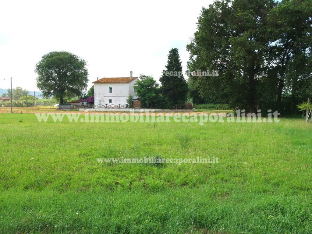 Terreno a Recanati - Foto 4