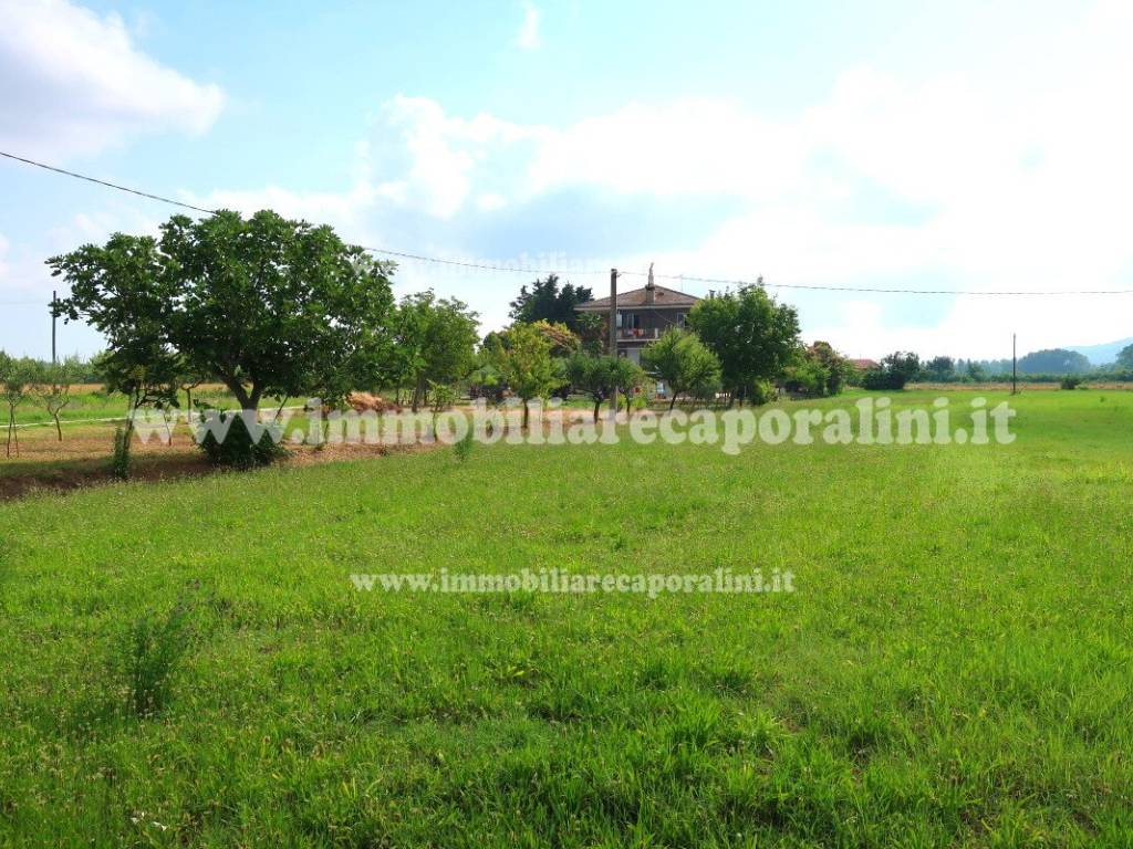 Terreno a Recanati - Foto 5