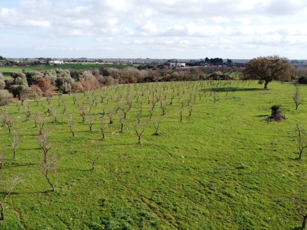 Terreno a Ostuni in Contrada Giovannarolla - Foto 3