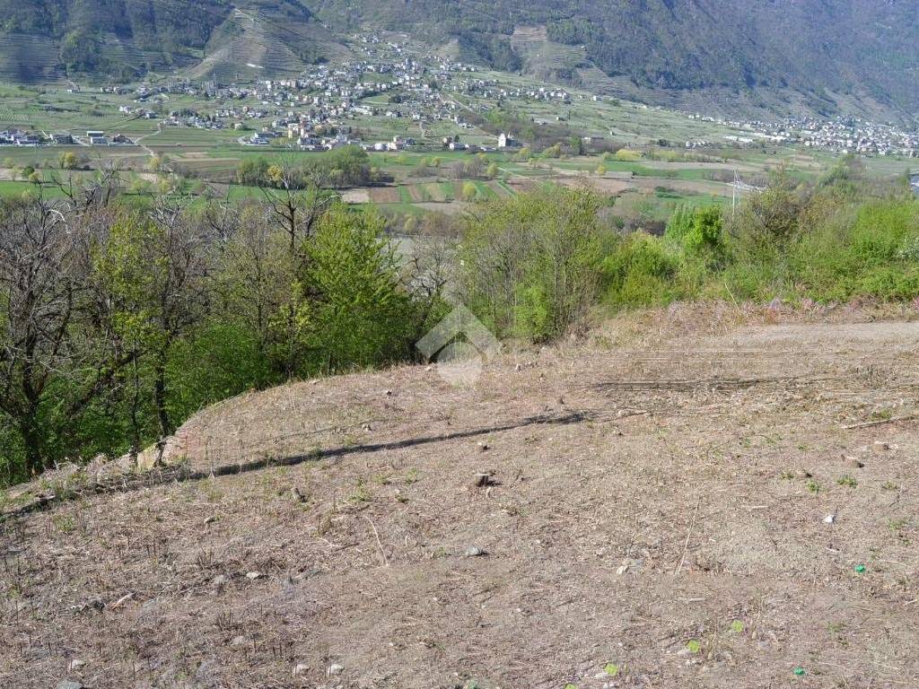 Terreno a Villa di tirano in Via Motta - Foto 2
