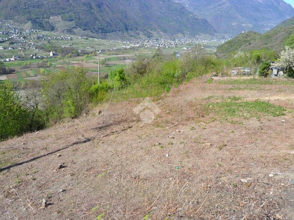 Terreno a Villa di tirano in Via Motta - Foto 3