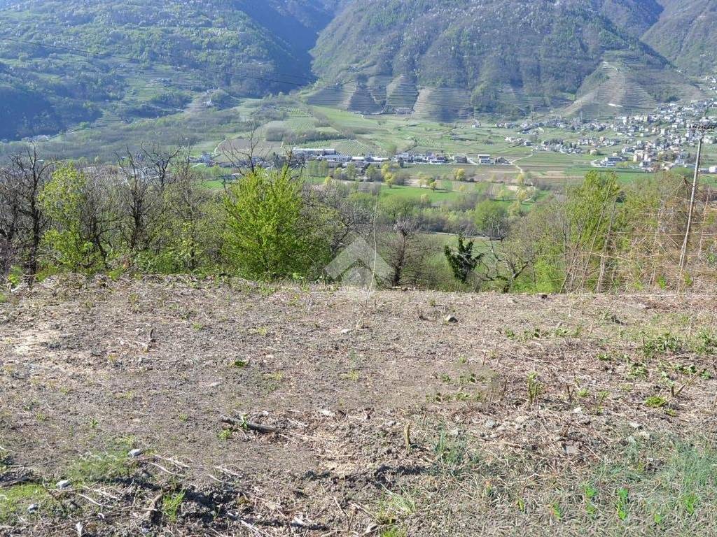 Terreno a Villa di tirano in Via Motta - Foto 4