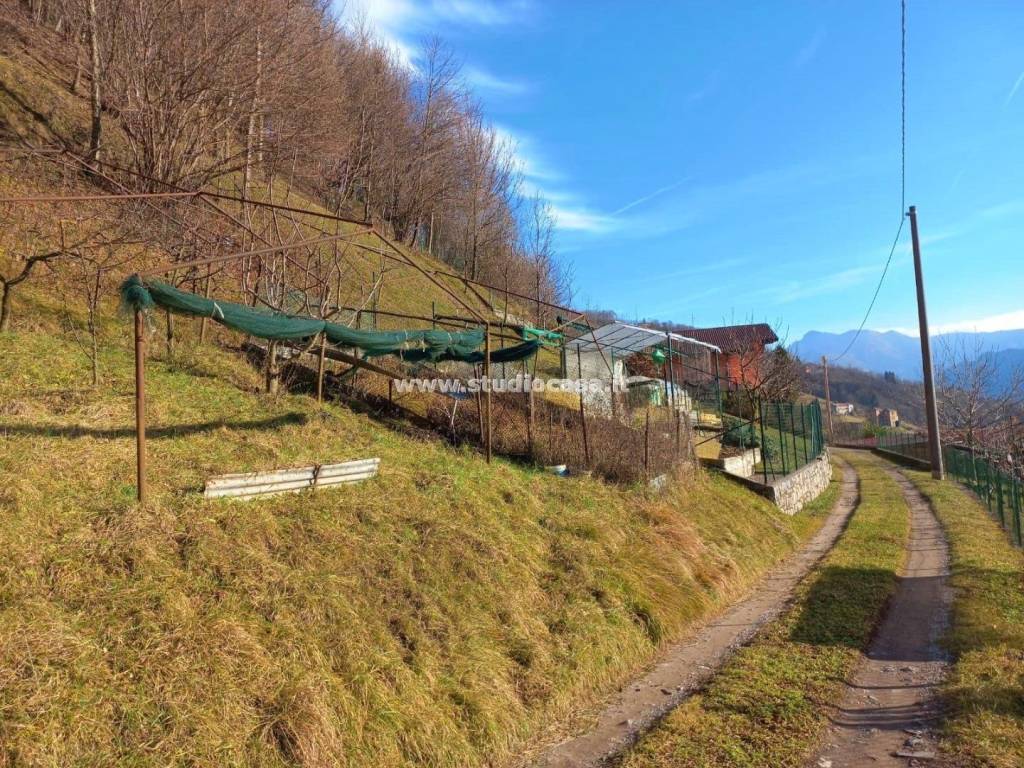Terreno a Gorno - Foto 2
