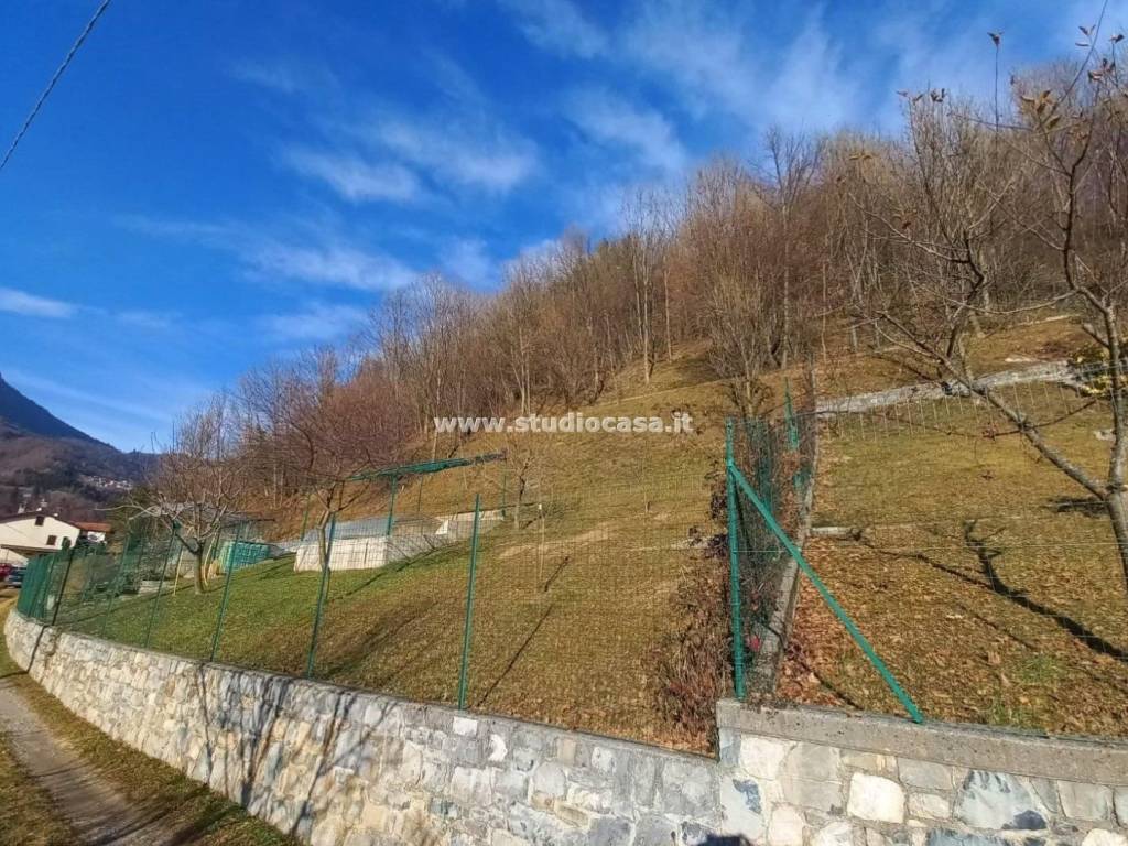 Terreno a Gorno - Foto 5