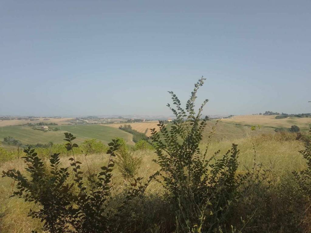 Rustico / casale a Poggio san marcello in Contrada Coste, 5 - Foto 3