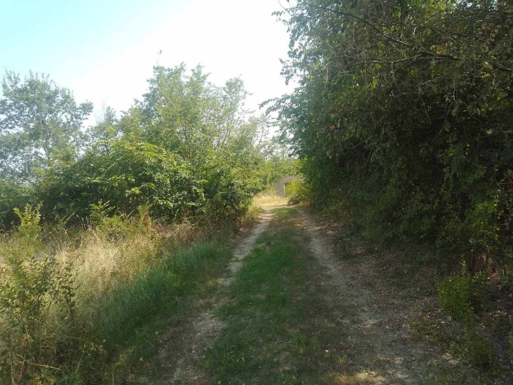 Rustico / casale a Poggio san marcello in Contrada Coste, 5 - Foto 4