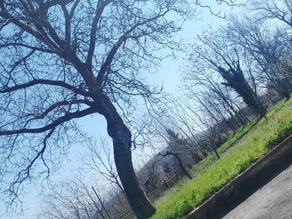 Villa a Montemiletto in Contrada Fiego, 13 - Foto 5