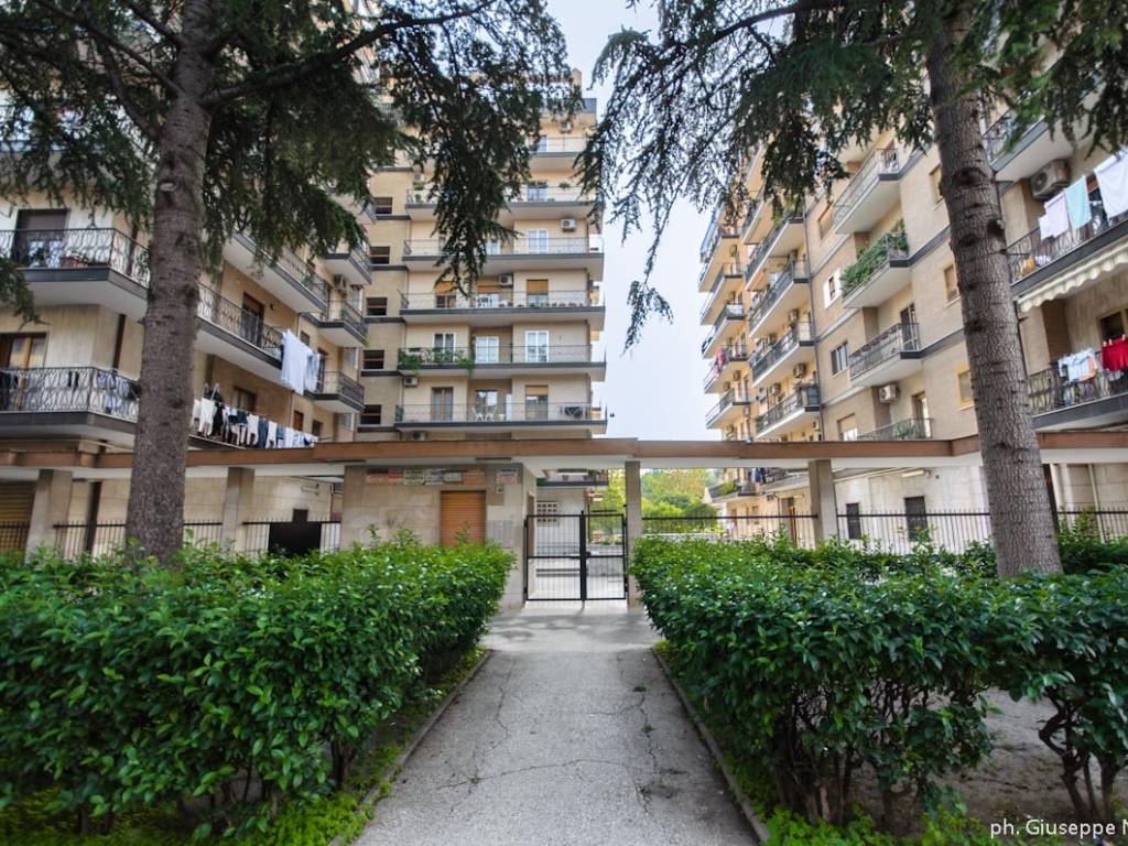 Appartamento a Foggia in Via Girolamo Calvanese - Foto 2