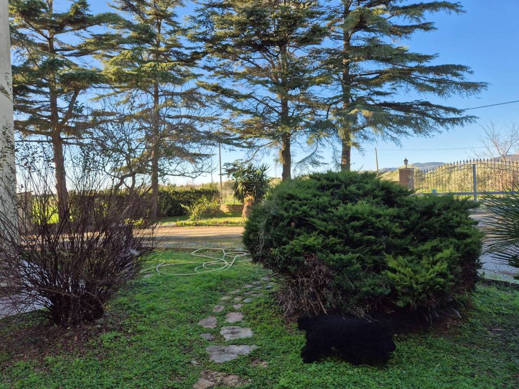 Villa a Campiglia marittima in Via di Casalappi - Foto 4
