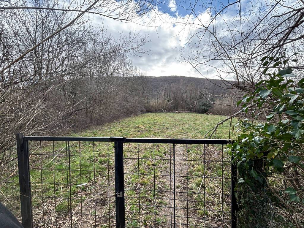 Terreno a San dorligo della valle - dolina in SP13 - Foto 3