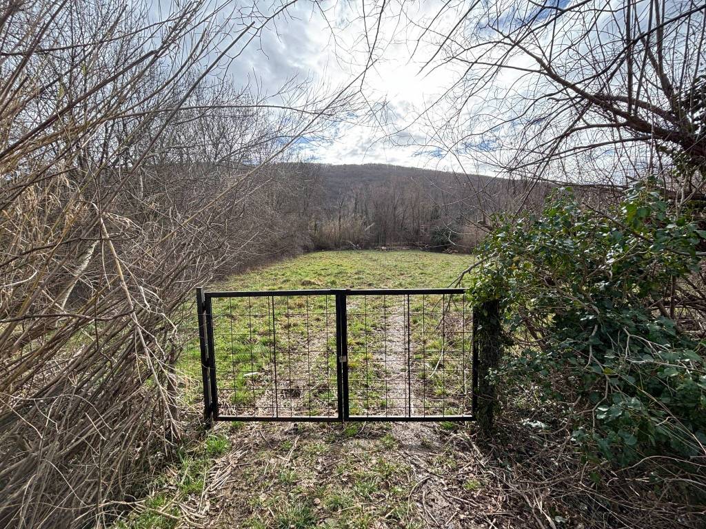Terreno a San dorligo della valle - dolina in SP13 - Foto 4