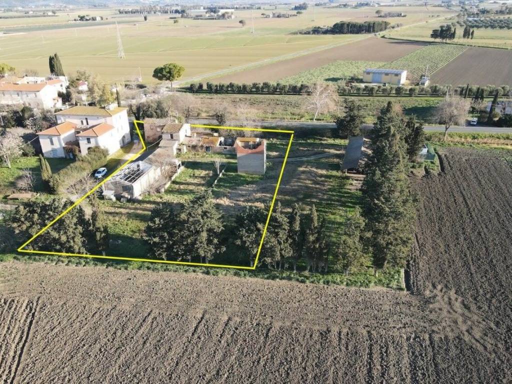 Rustico / casale a Campiglia marittima - Foto 4