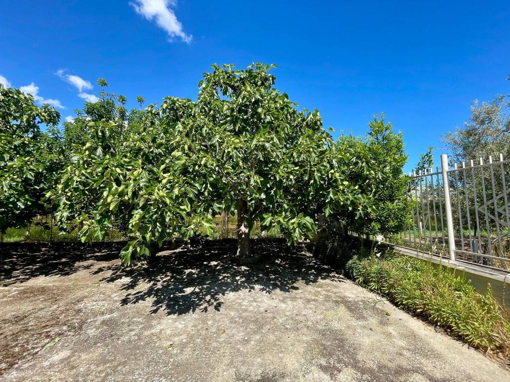 Appartamento a Barletta - Foto 4