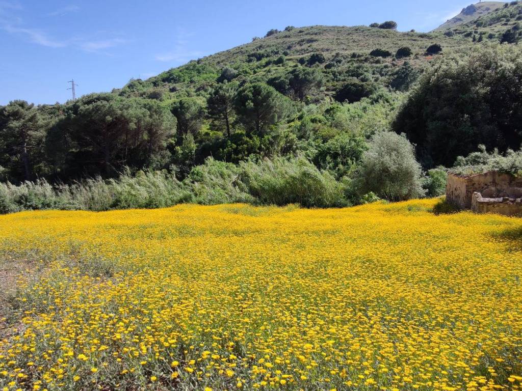 Rustico / casale a Rio - Foto 3