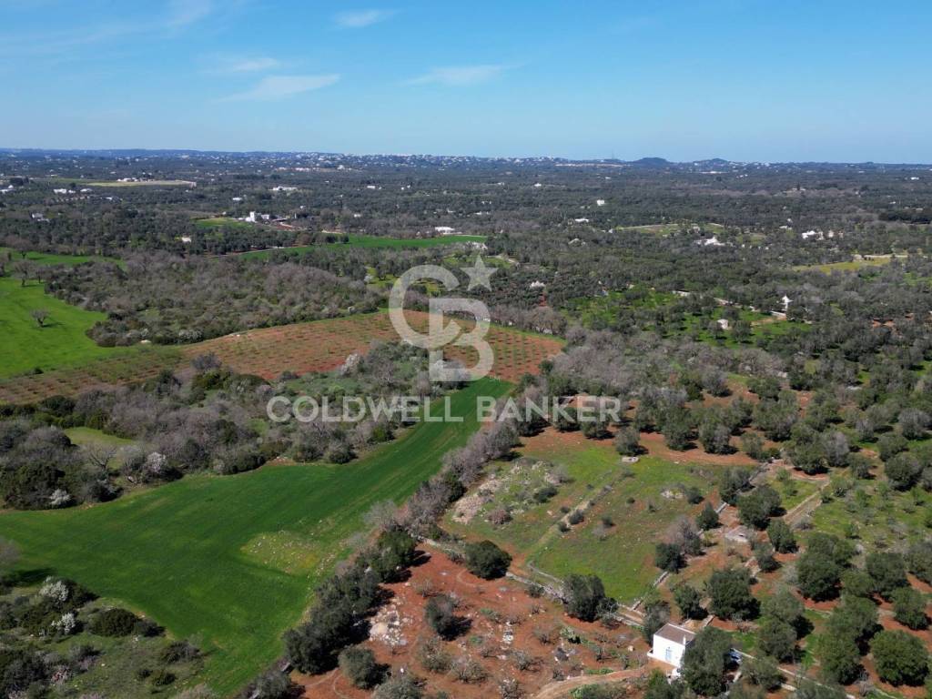 Terreno a Ostuni in Contrada Monte Torto - Foto 2