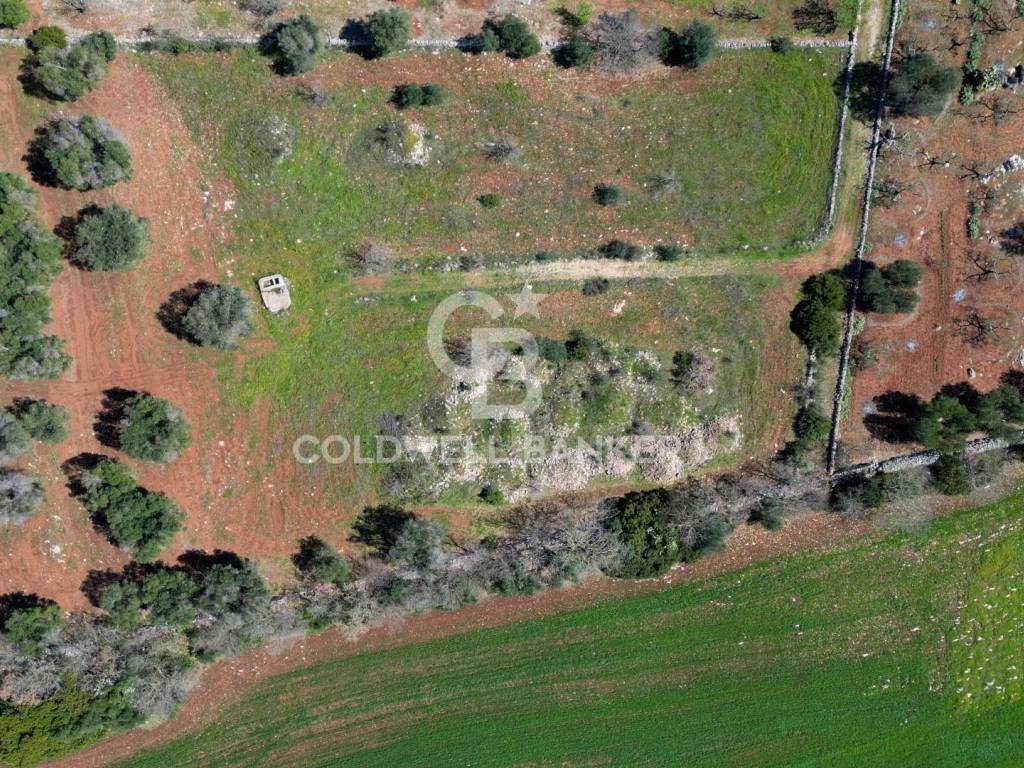 Terreno a Ostuni in Contrada Monte Torto - Foto 3