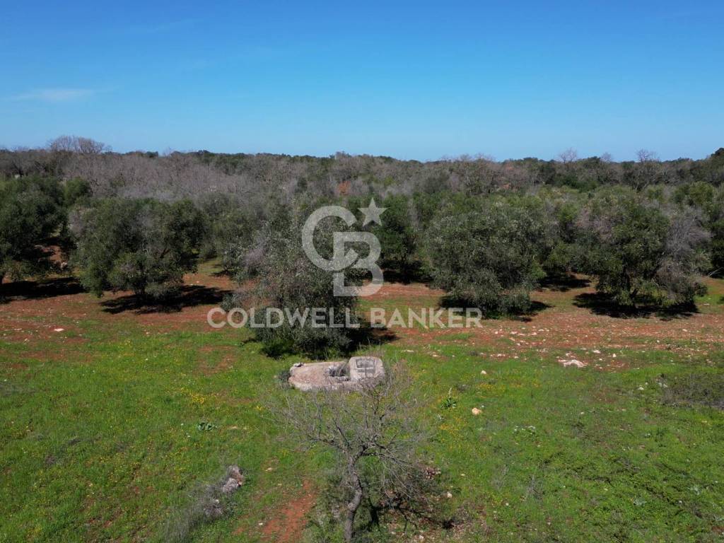 Terreno a Ostuni in Contrada Monte Torto - Foto 4