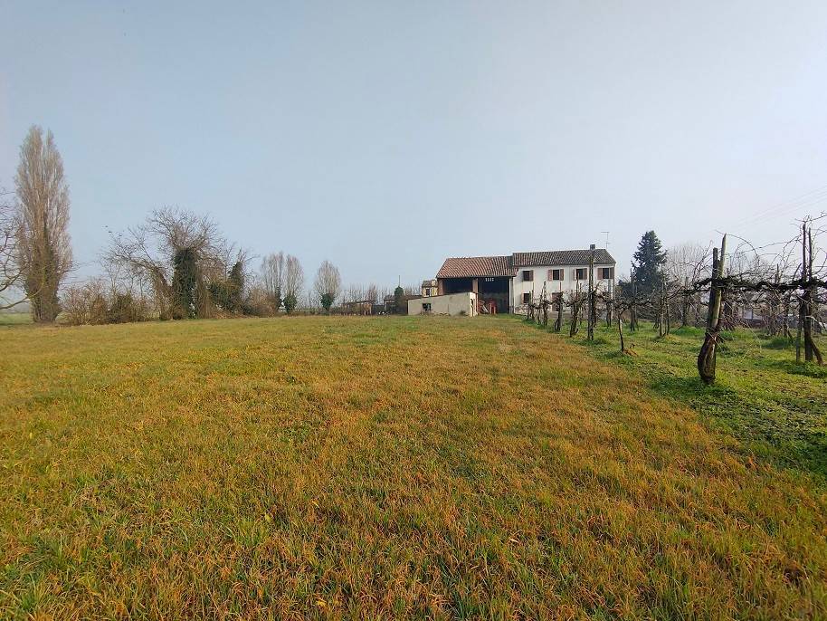 Rustico / casale a Montagnana in Via Pallonga, 34 - Foto 2