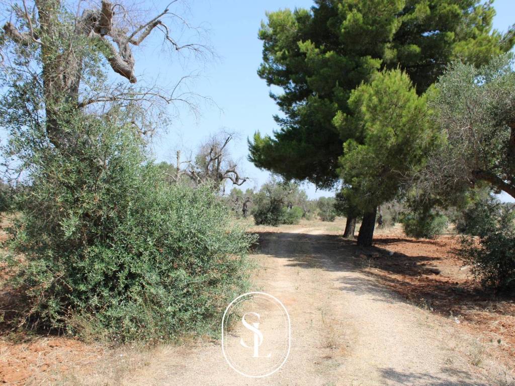 Villa a Nardò in Strada Provinciale Avetrana Gallipoli - Foto 3
