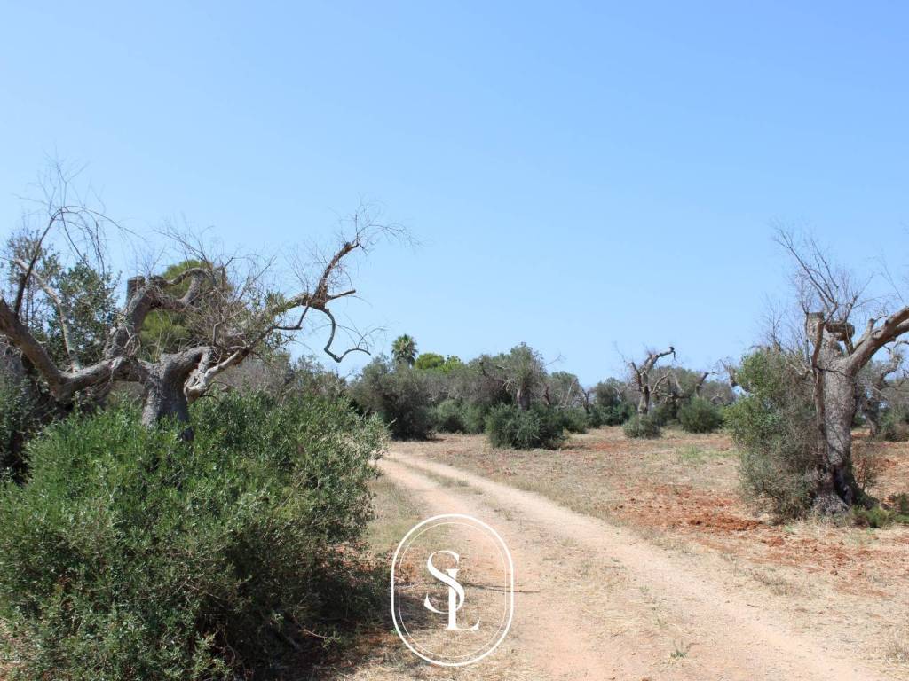 Villa a Nardò in Strada Provinciale Avetrana Gallipoli - Foto 4
