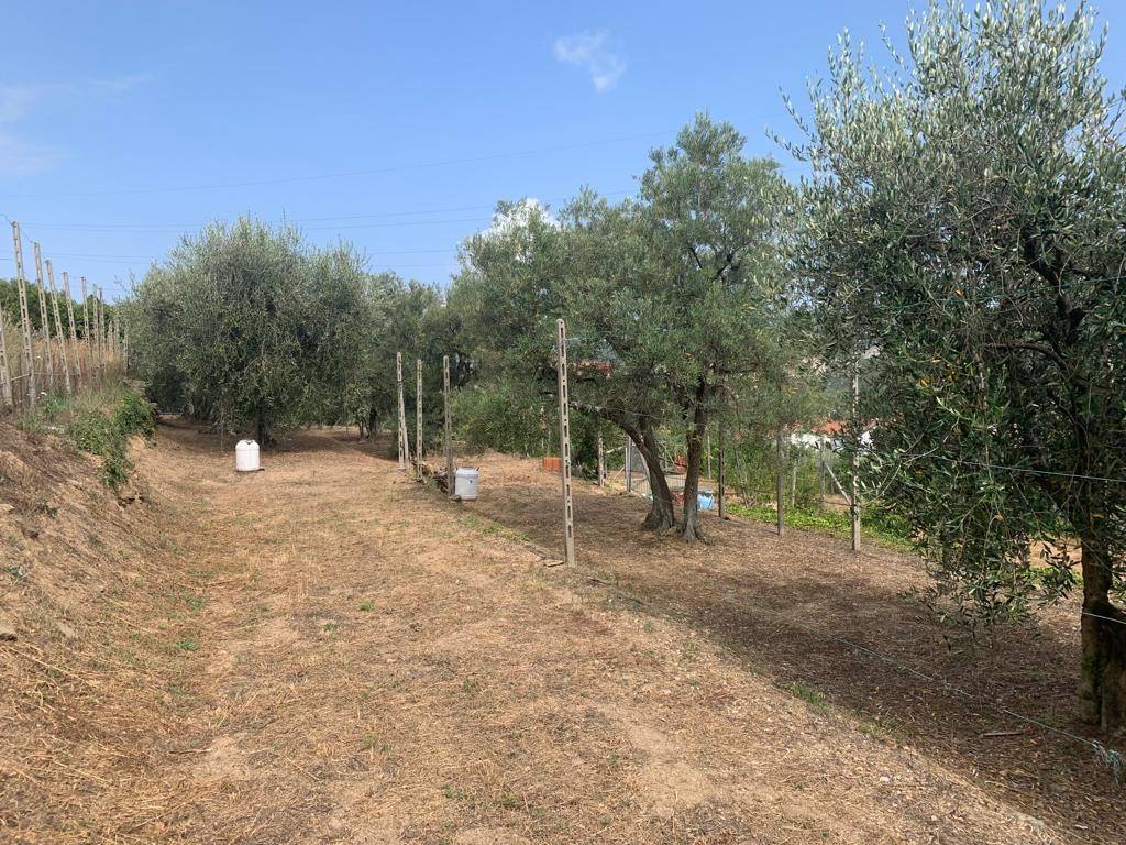 Terreno a Vado ligure in Via Nino Bixio - Foto 5