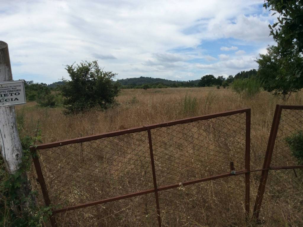 Terreno a Sorano in Case Sparse Valle Grottini - Foto 2