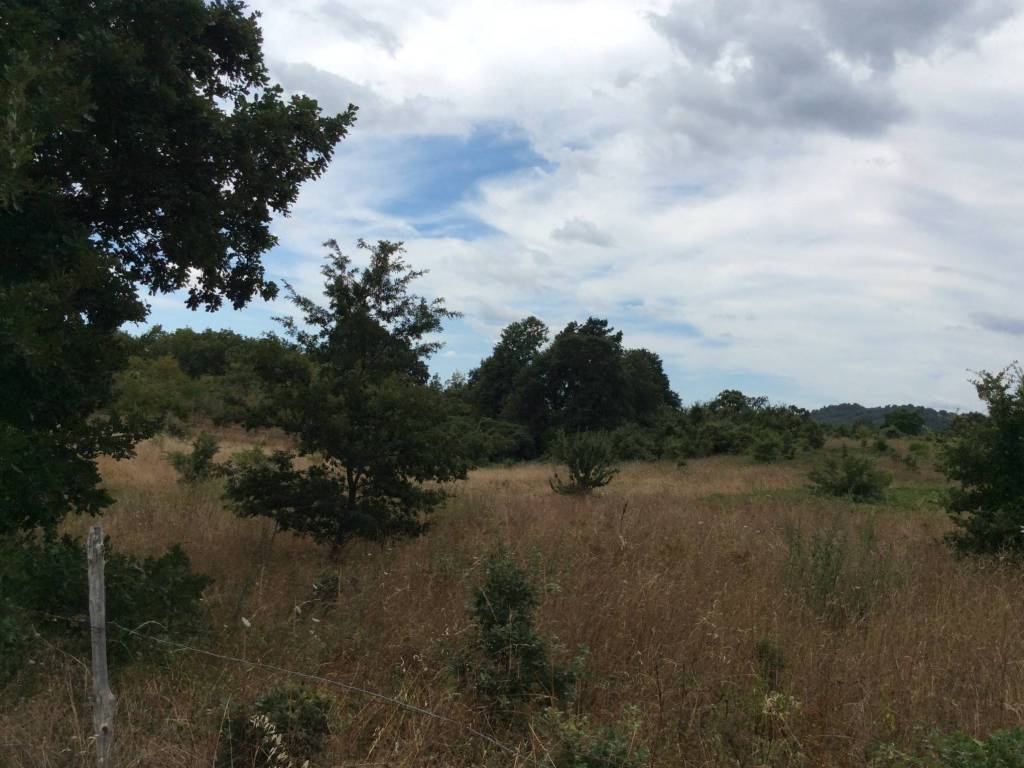 Terreno a Sorano in Case Sparse Valle Grottini - Foto 3